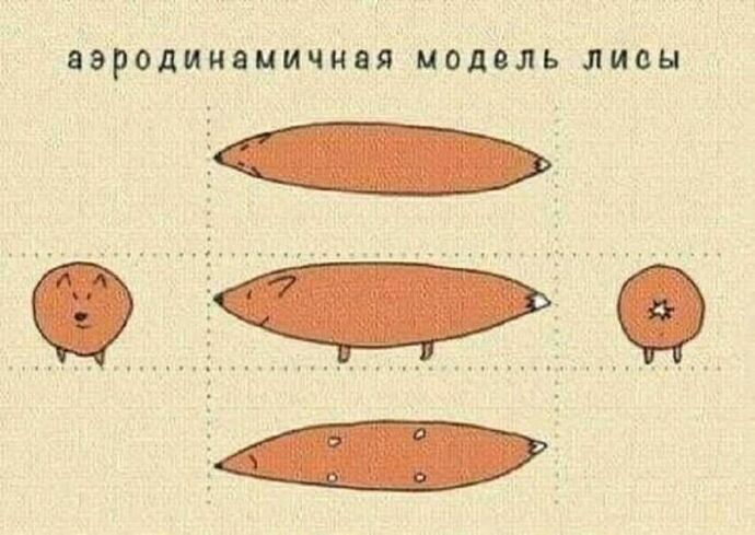 IMAGE 2025-09-25 00:27:51