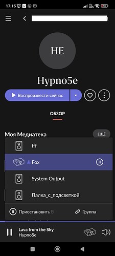 Screenshot_2025-04-07-17-15-06-592_com.roon.mobile