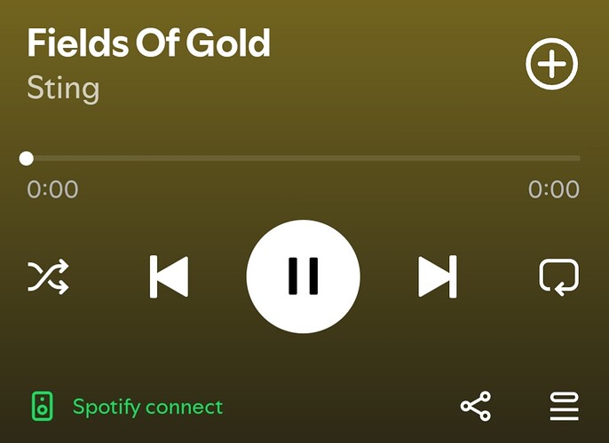 Screenshot_20251111_194009_Spotify